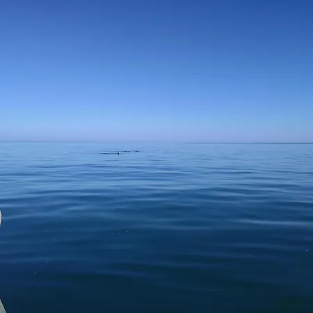 La Maison Du Bout Créances