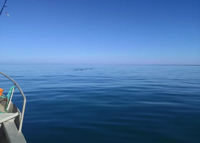 La Maison Du Bout Creances